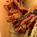 Casa Bella Vez Broccaindosso דירה *